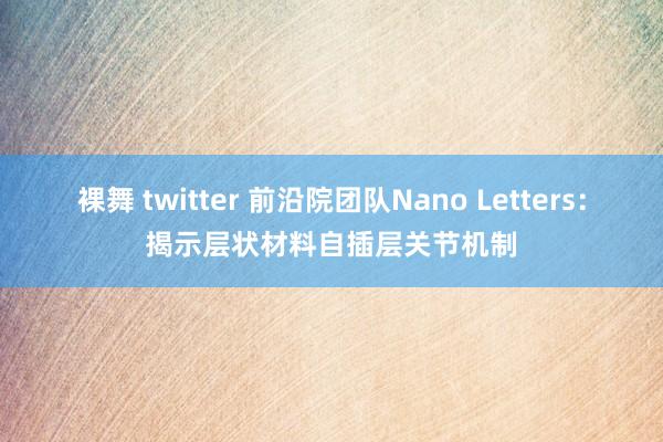 裸舞 twitter 前沿院团队Nano Letters：揭示层状材料自插层关节机制